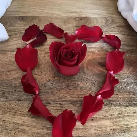 Apartment Adn & Ablon